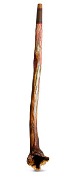 Heartland Didgeridoo (HD449)